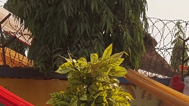 Valyd Ella Modern School