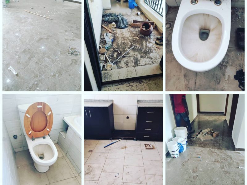 Cleaning and Pest Control Services