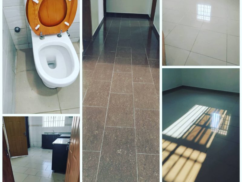 Cleaning and Pest Control Services