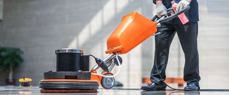 Cleaning and Pest Control Services