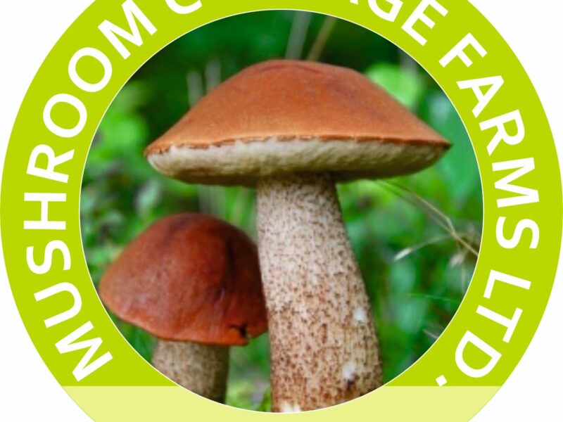 Mushroom Cottage Farms Limited