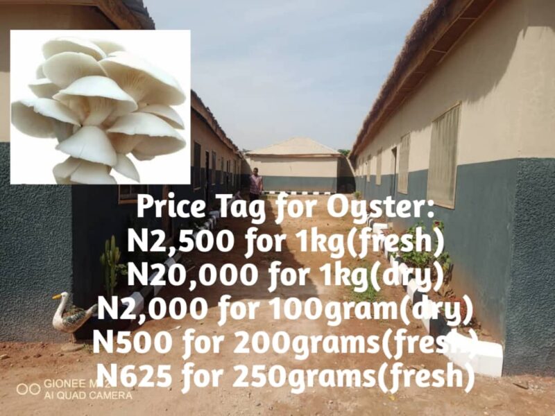 Mushroom Cottage Farms Limited