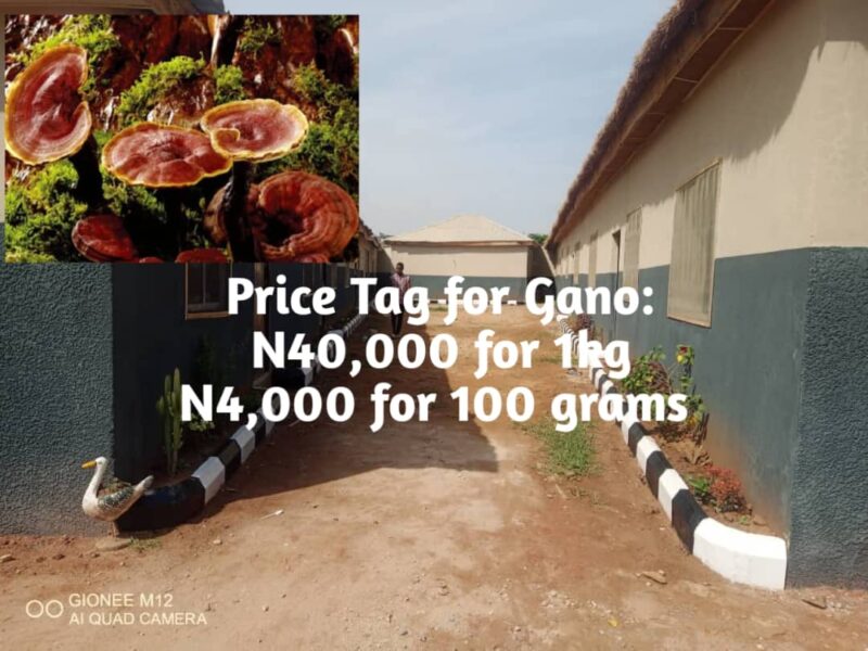 Mushroom Cottage Farms Limited