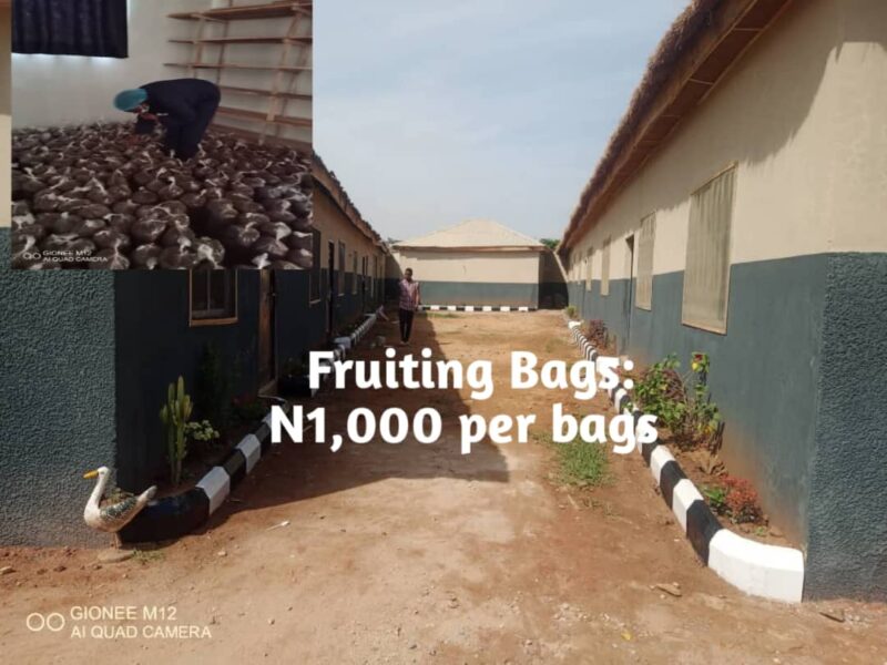 Mushroom Cottage Farms Limited