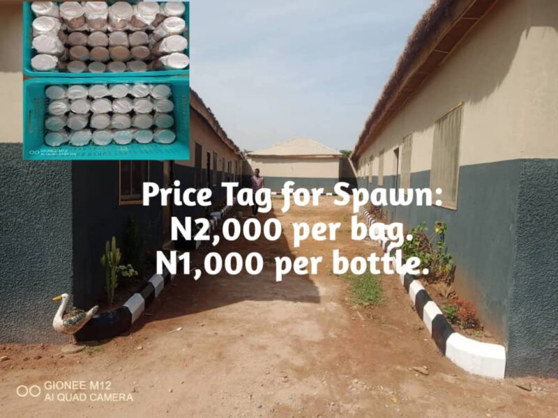 Mushroom Cottage Farms Limited