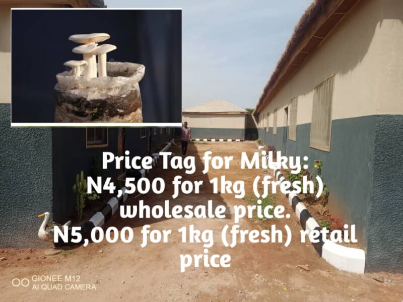 Mushroom Cottage Farms Limited